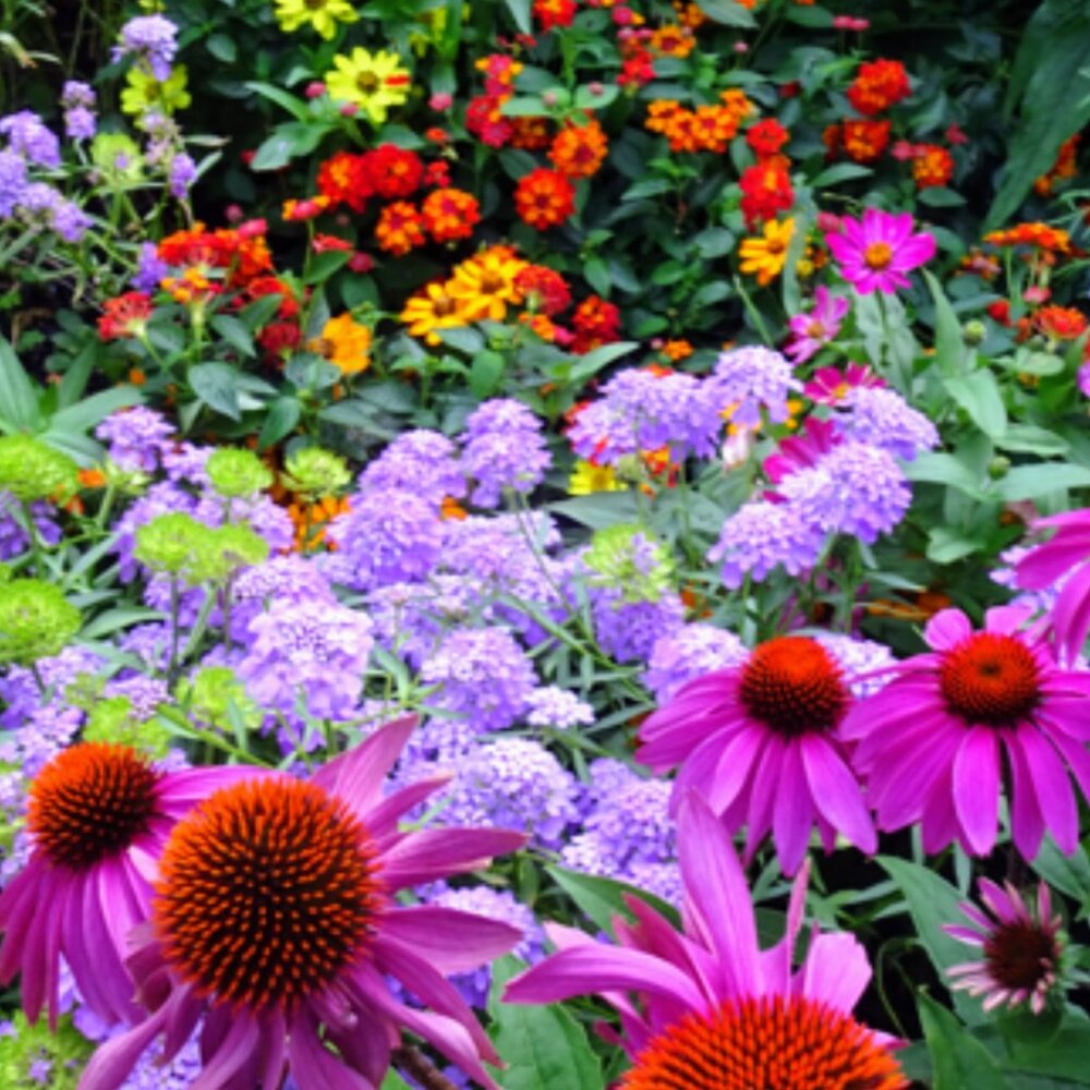 Meet your Posher, CH